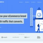 eCommerce Marketing Agency